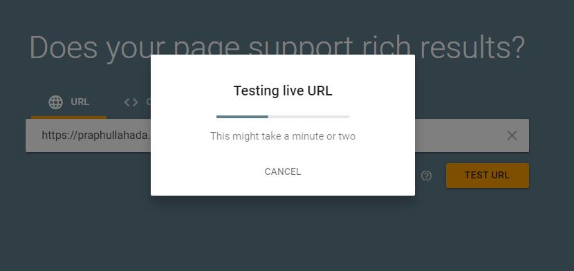 testing rich results